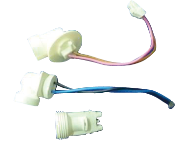 Fujisawa International (Shanghai) Co., Ltd,