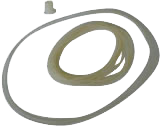 Fujisawa International (Shanghai) Co., Ltd,