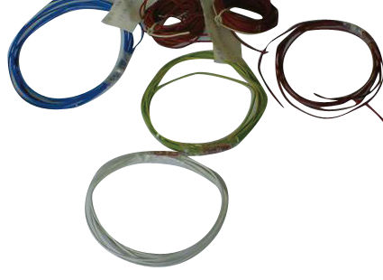 Fujisawa International (Shanghai) Co., Ltd,