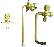 Fujisawa International (Shanghai) Co., Ltd,