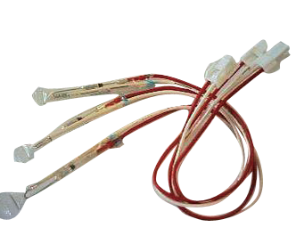 Fujisawa International (Shanghai) Co., Ltd,