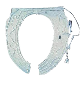 Fujisawa International (Shanghai) Co., Ltd,