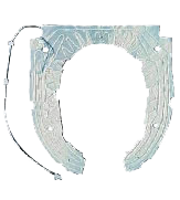 Fujisawa International (Shanghai) Co., Ltd,