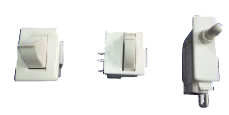 Fujisawa International (Shanghai) Co., Ltd,